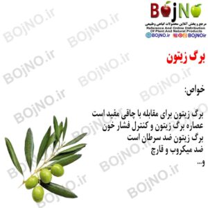 برگ زیتون 100گرمی