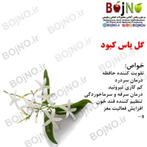 گل یاس کبود 100گرمی