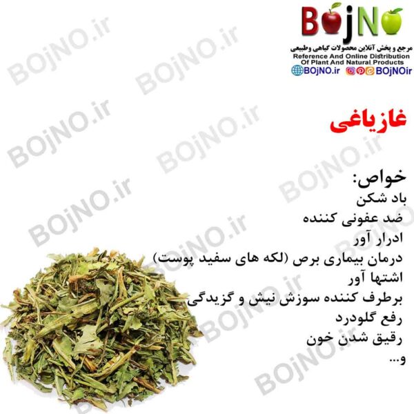 غازیاغی 100 گرمی